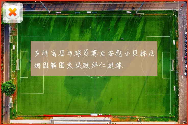多特高层与球员赛后安慰小贝林厄姆因解围失误致拜仁进球