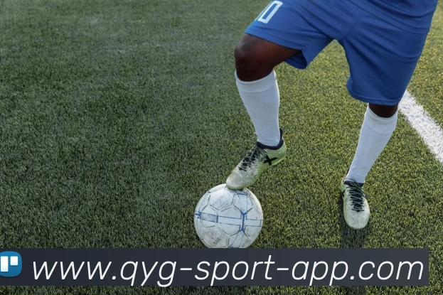 App Interface Preview